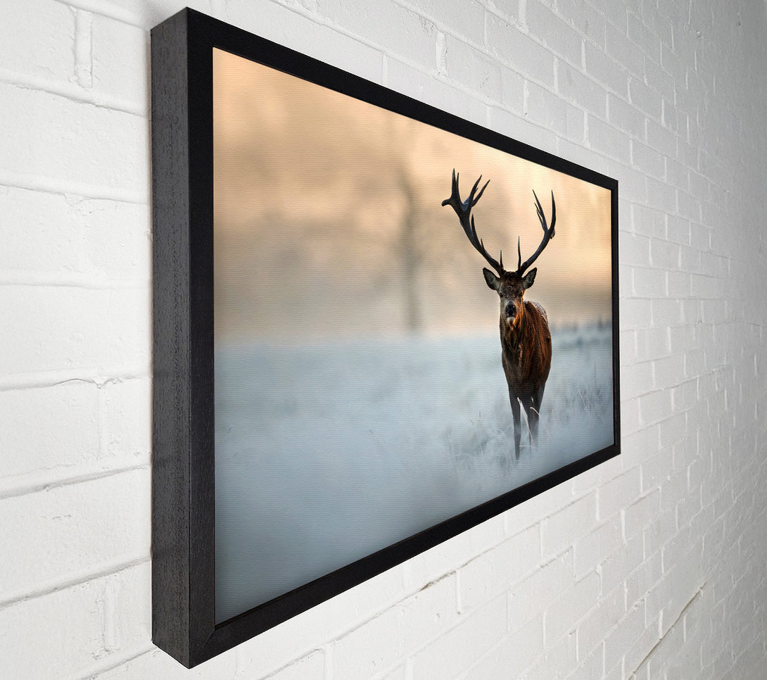  A Canvas Print of Beautiful Winter Stag Canvas Print