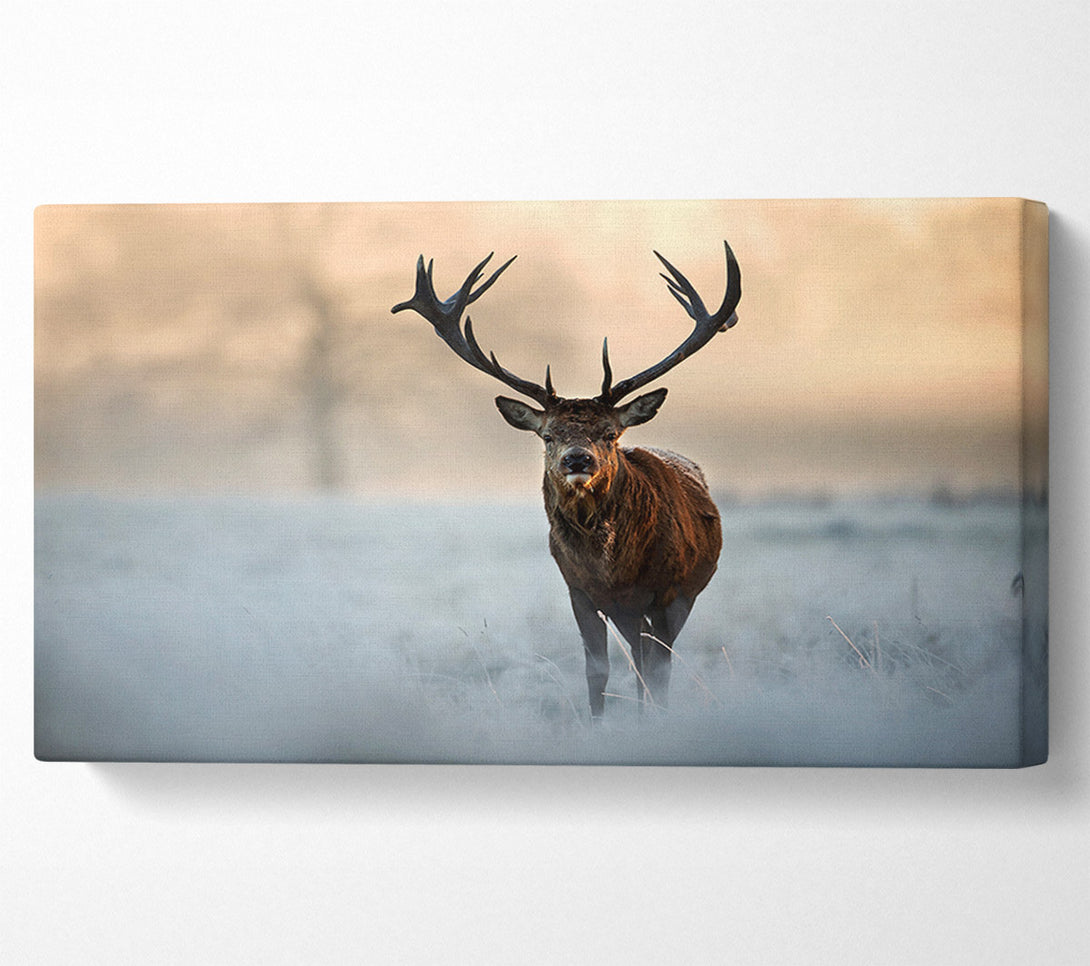  A Canvas Print of Beautiful Winter Stag Canvas Print