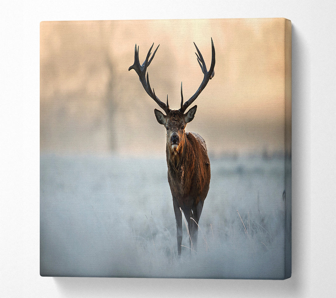  A Canvas Print of Beautiful Winter Stag Canvas Print