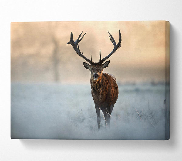  A Canvas Print of Beautiful Winter Stag Canvas Print