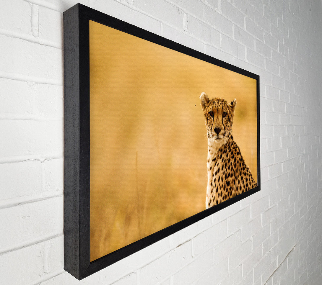  A Canvas Print of Proud Cheetah Canvas Wall Art
