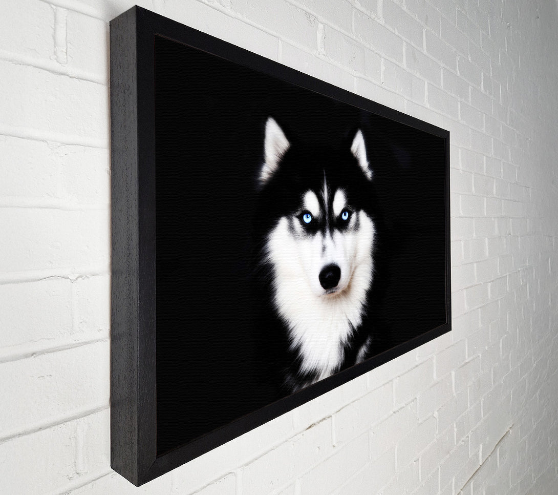  A Canvas Print of Husky Dog Love Canvas Print