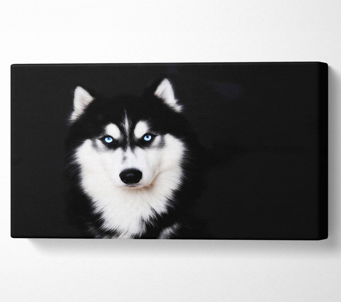  A Canvas Print of Husky Dog Love Canvas Print