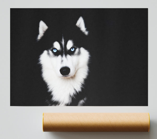 Husky Dog Love Giclee Print