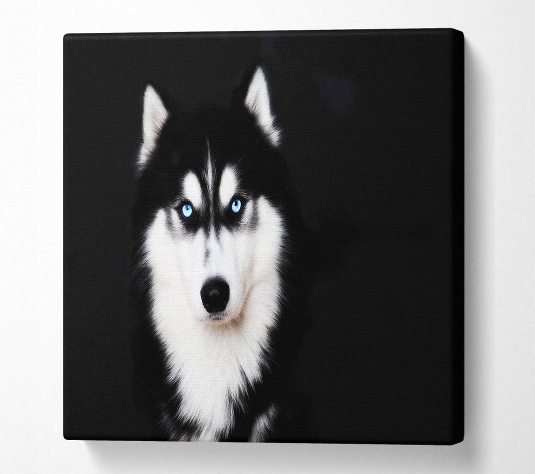  A Canvas Print of Husky Dog Love Canvas Print