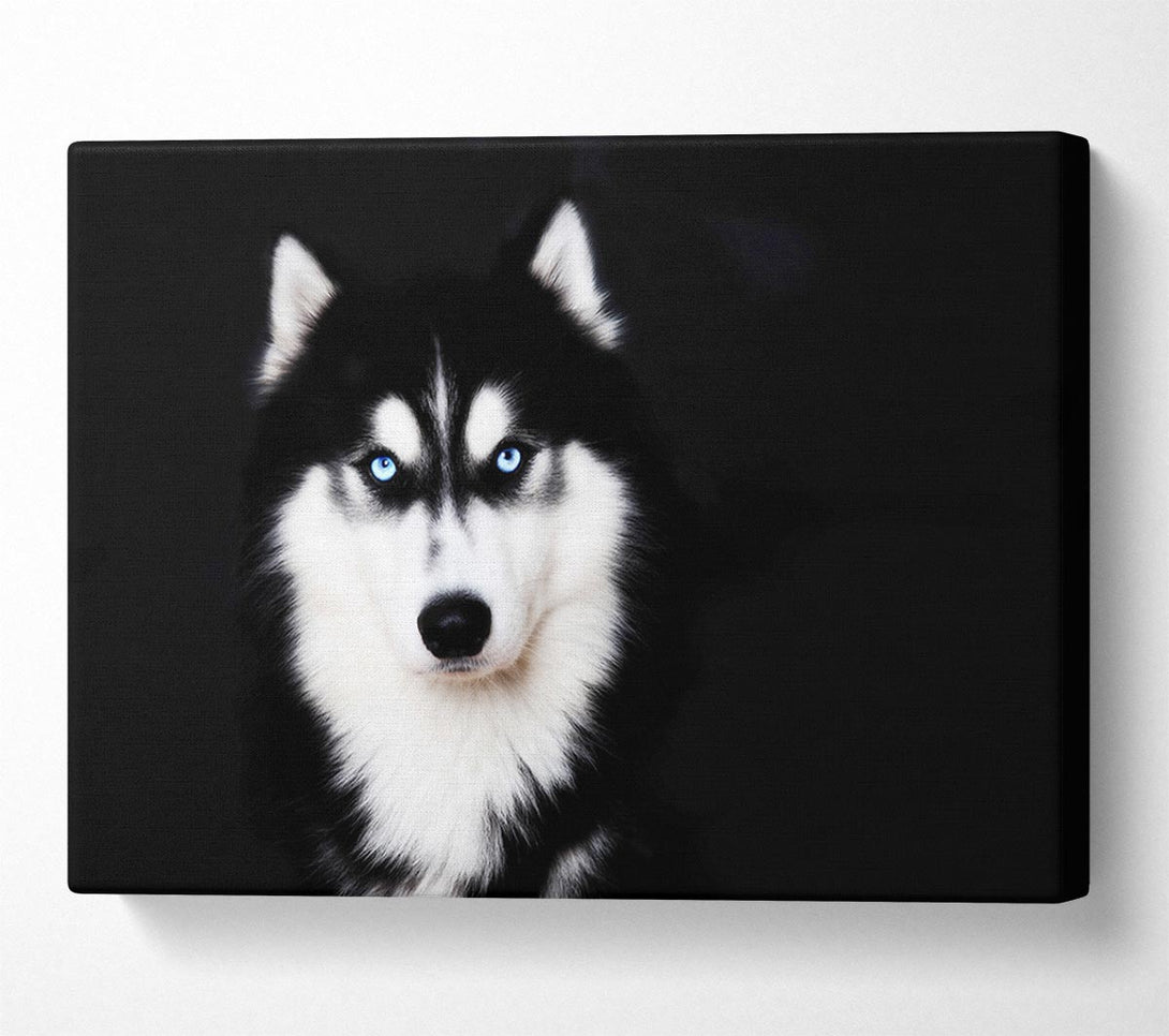  A Canvas Print of Husky Dog Love Canvas Print