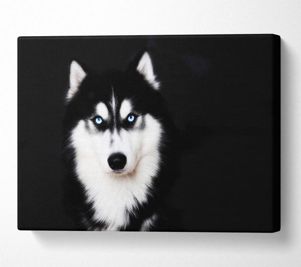  A Canvas Print of Husky Dog Love Canvas Print