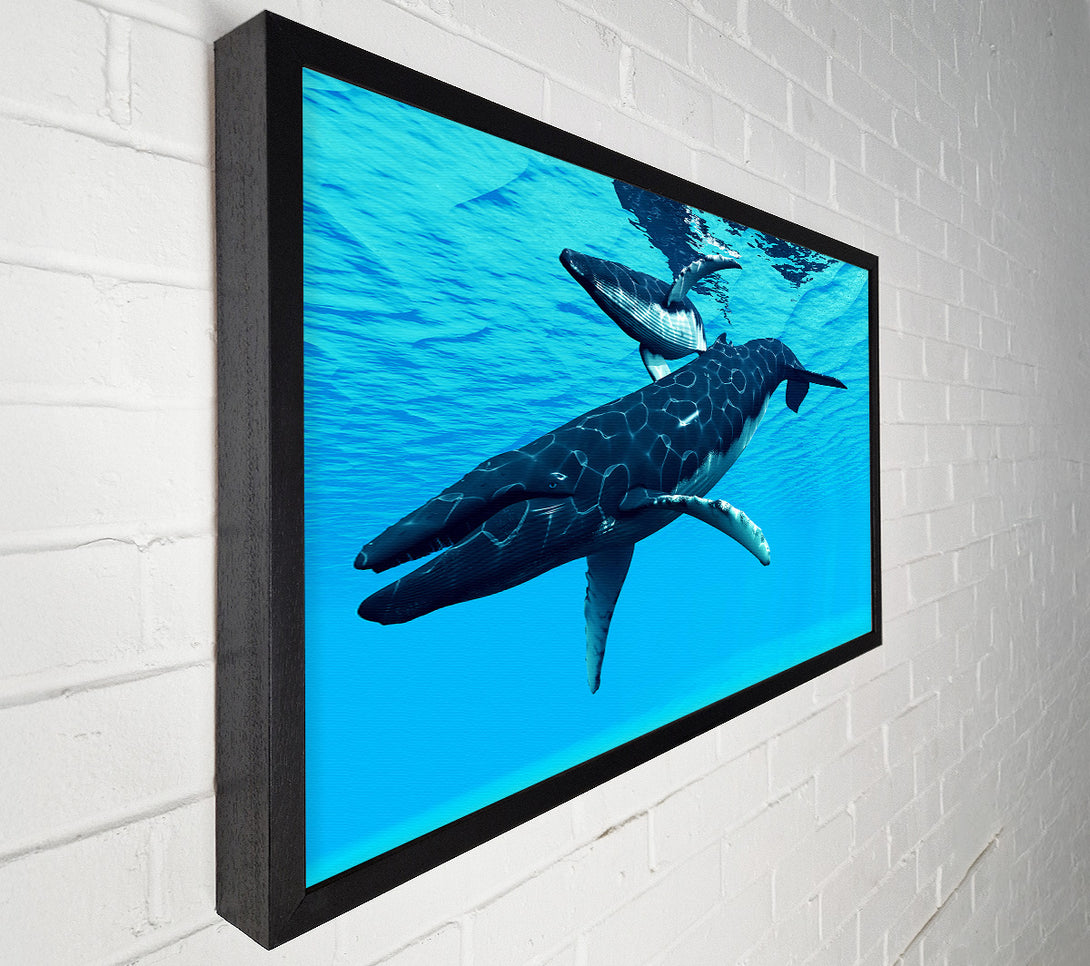  A Canvas Print of Whale Fun Canvas Wall Art