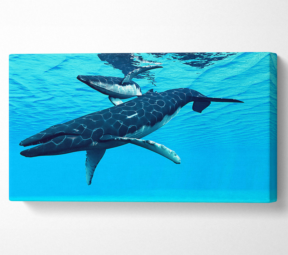  A Canvas Print of Whale Fun Canvas Wall Art