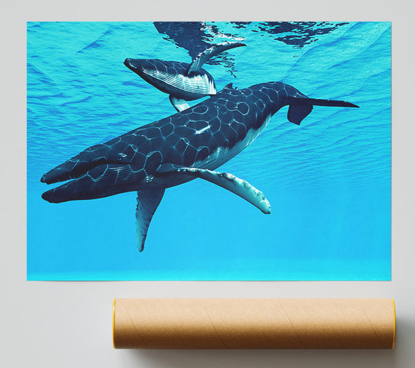 Whale Fun Poster