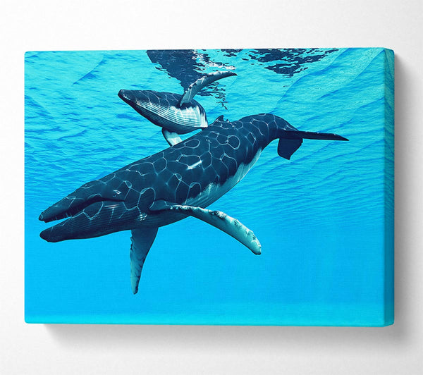  A Canvas Print of Whale Fun Canvas Wall Art