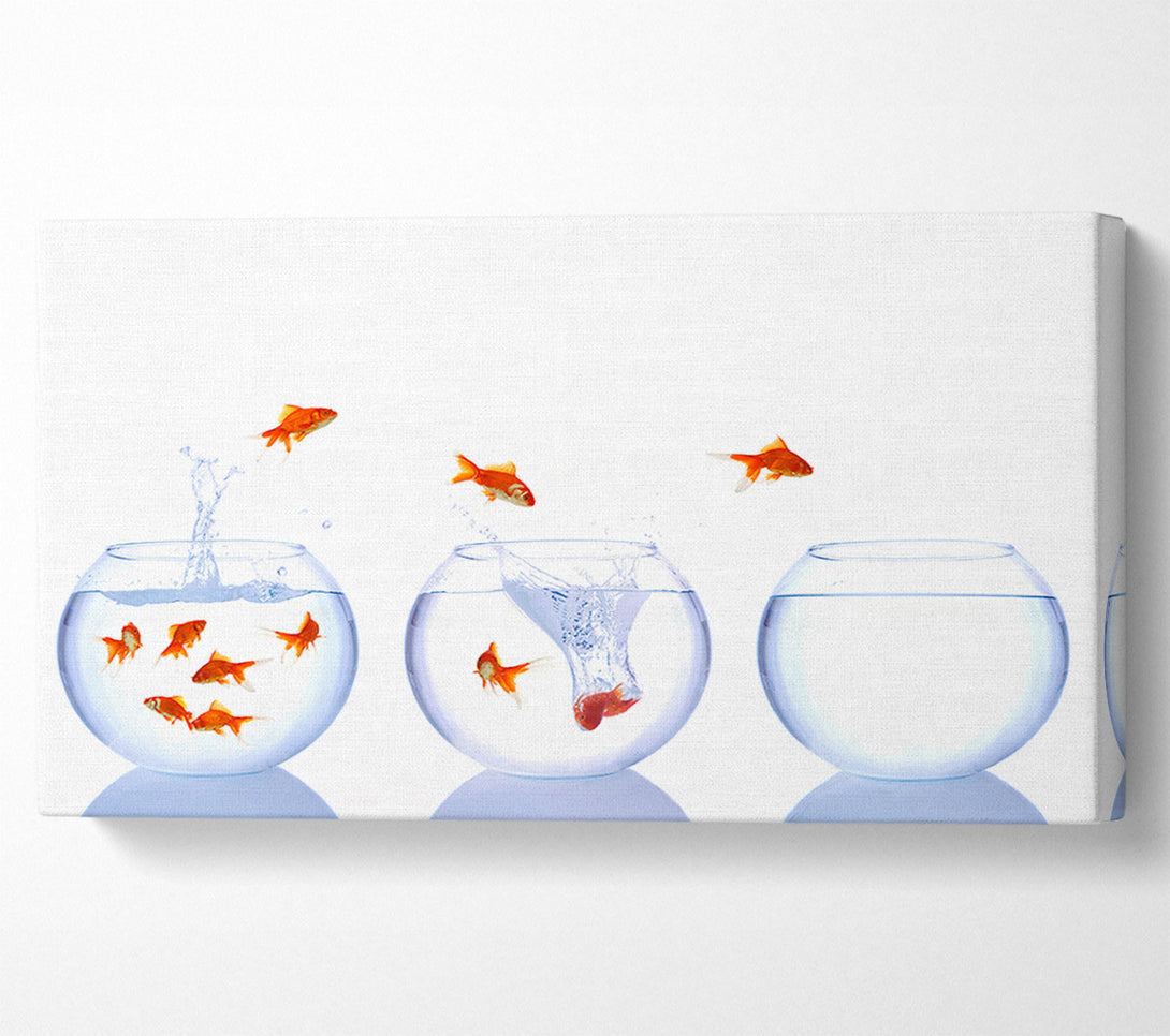  A Canvas Print of Jumping Goldfish Trio Canvas Wall Art