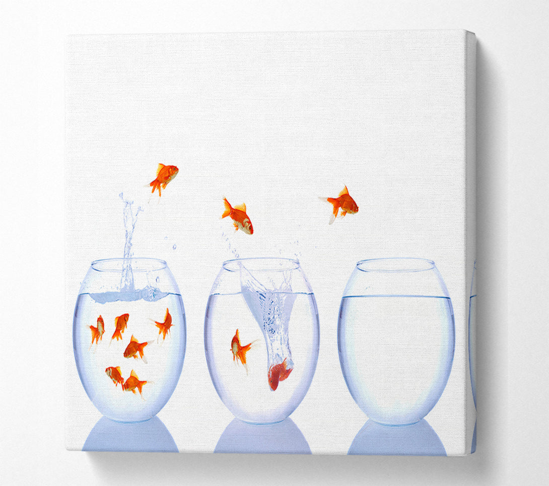  A Canvas Print of Jumping Goldfish Trio Canvas Wall Art