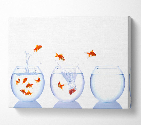  A Canvas Print of Jumping Goldfish Trio Canvas Wall Art