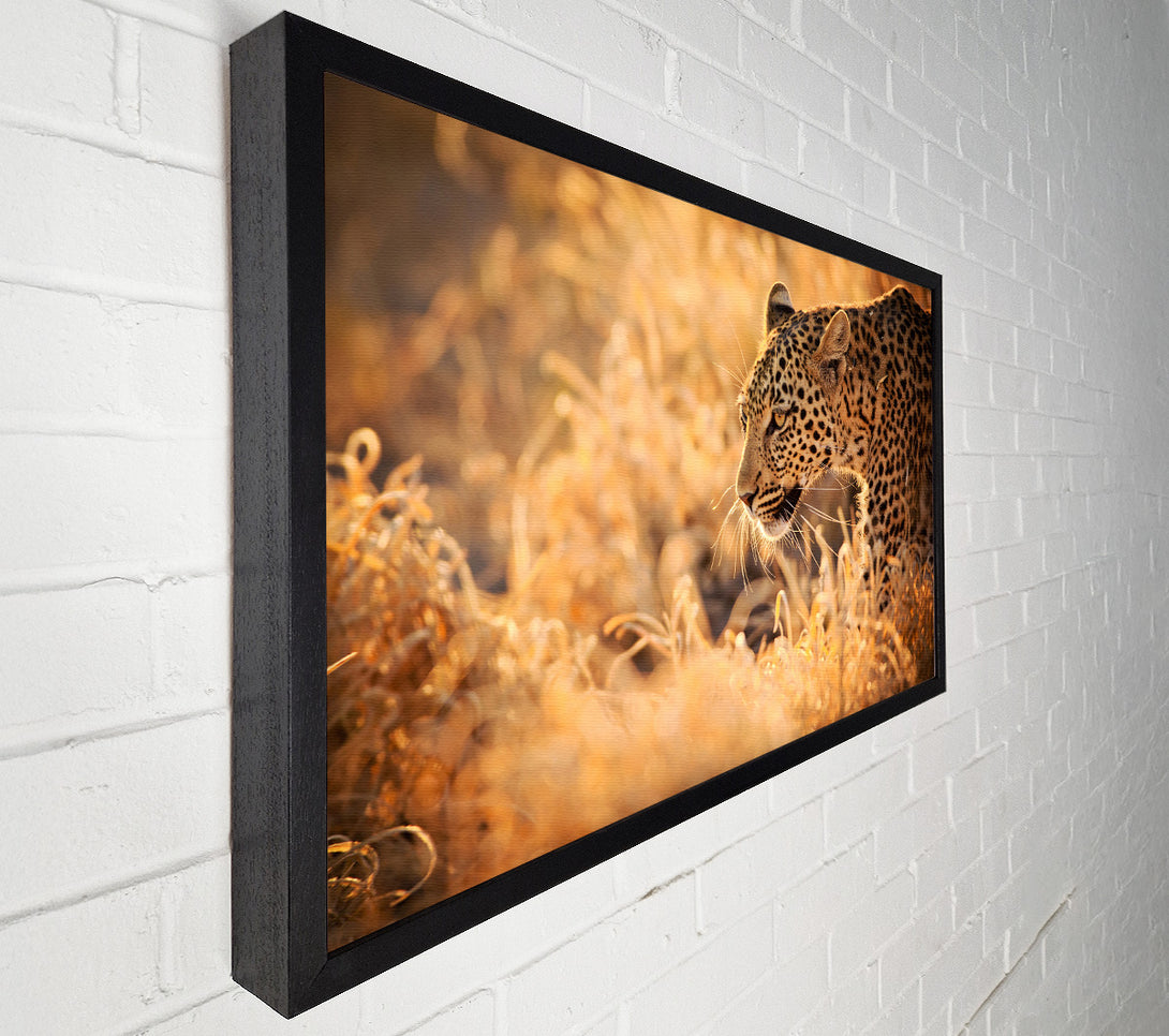  A Canvas Print of Leopard Wonder Canvas Print