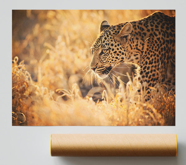 Leopard Wonder Giclee Print
