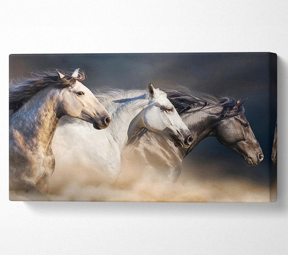  A Canvas Print of Wild Horse Trio Canvas Print