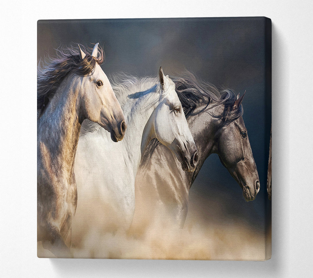  A Canvas Print of Wild Horse Trio Canvas Print