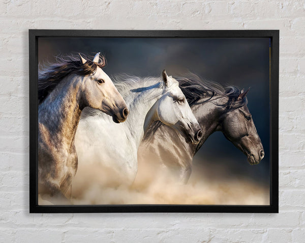 Wild Horse Trio Framed Print