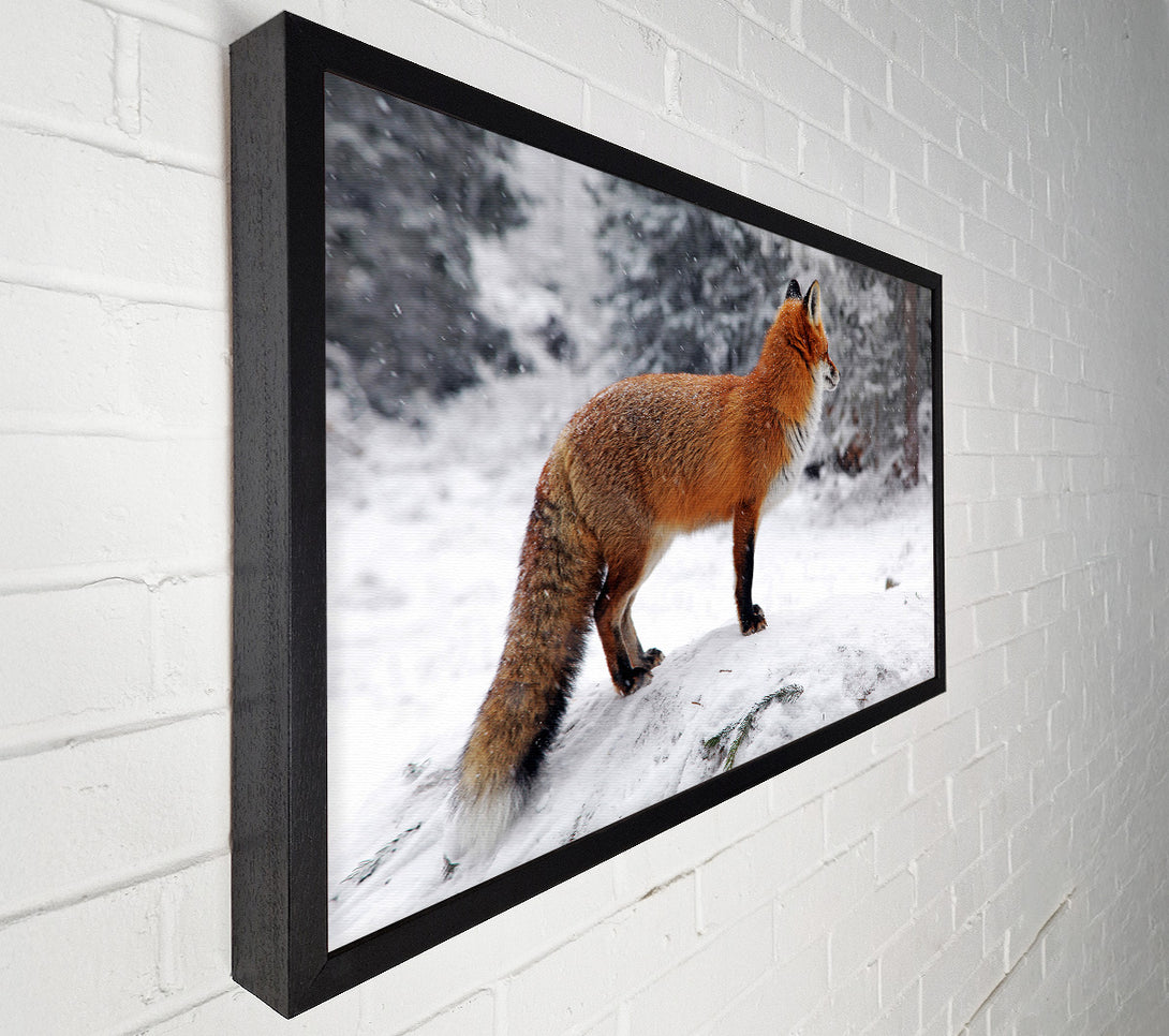  A Canvas Print of Winter Snow Fox Canvas Wall Art
