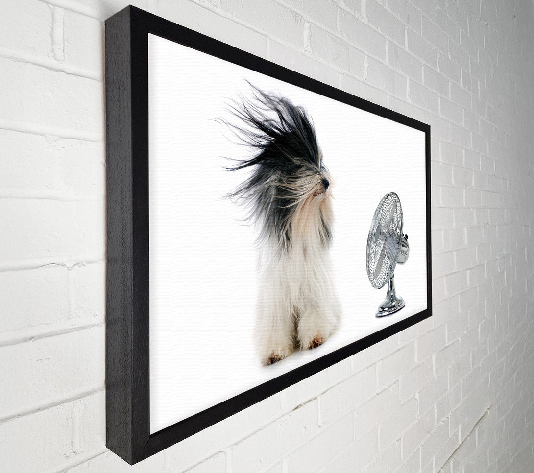  A Canvas Print of Old English Sheepdog Cooling Off Canvas Art
