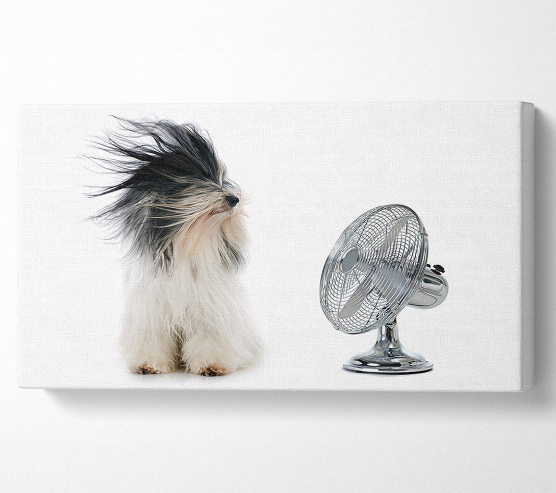  A Canvas Print of Old English Sheepdog Cooling Off Canvas Art