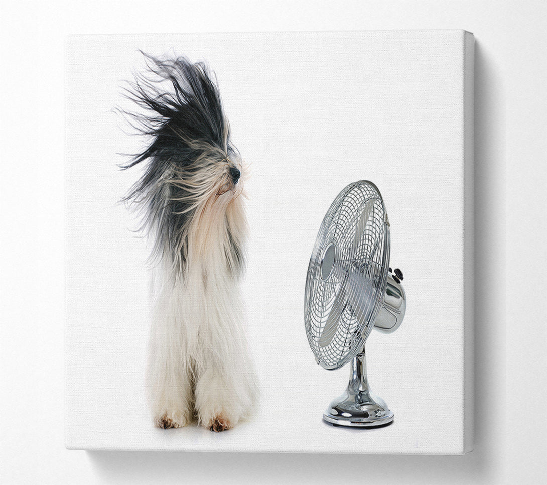  A Canvas Print of Old English Sheepdog Cooling Off Canvas Art