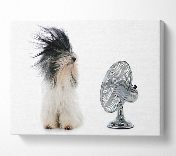  A Canvas Print of Old English Sheepdog Cooling Off Canvas Art