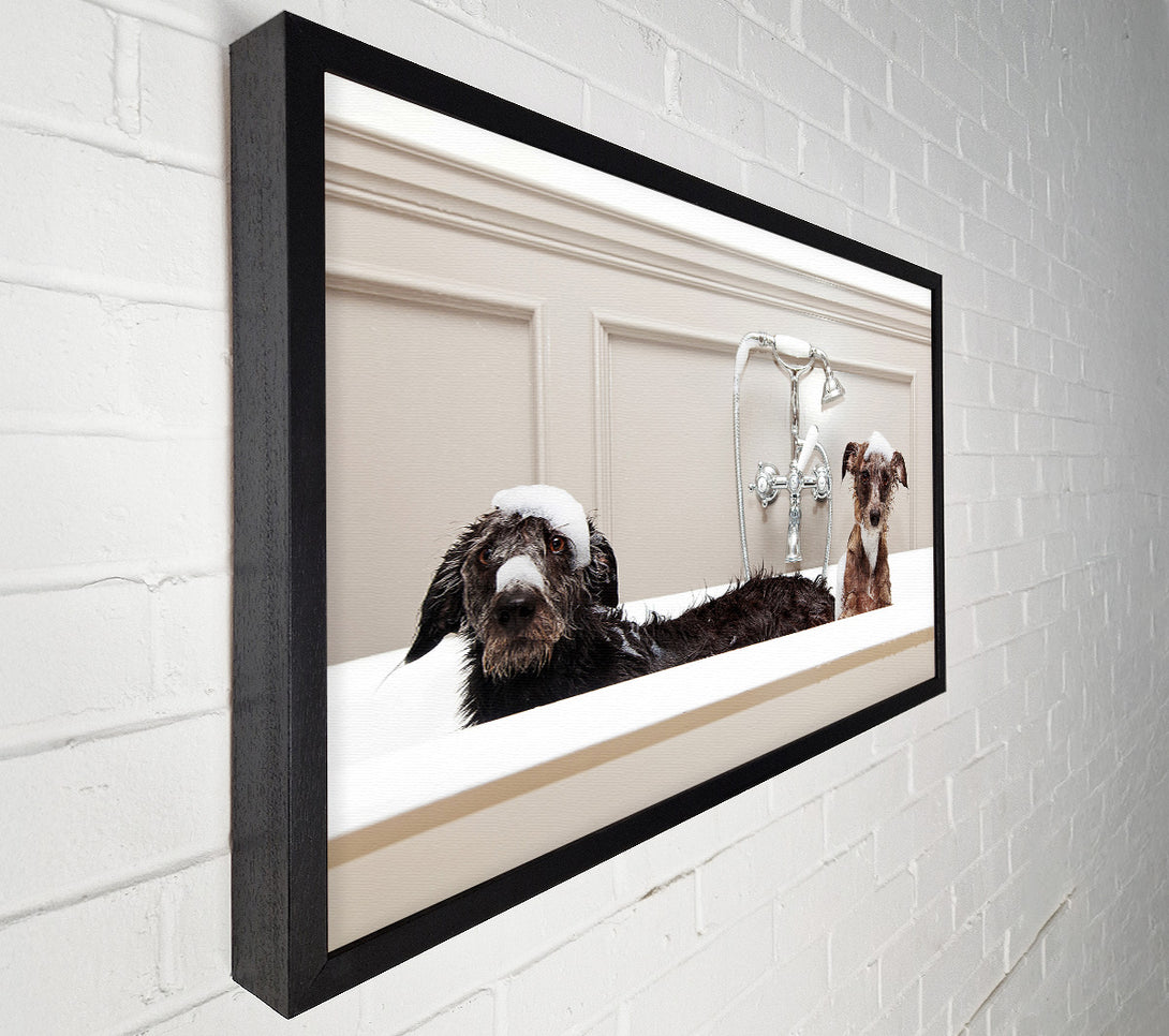  A Canvas Print of Bath Time Dogs Canvas Art