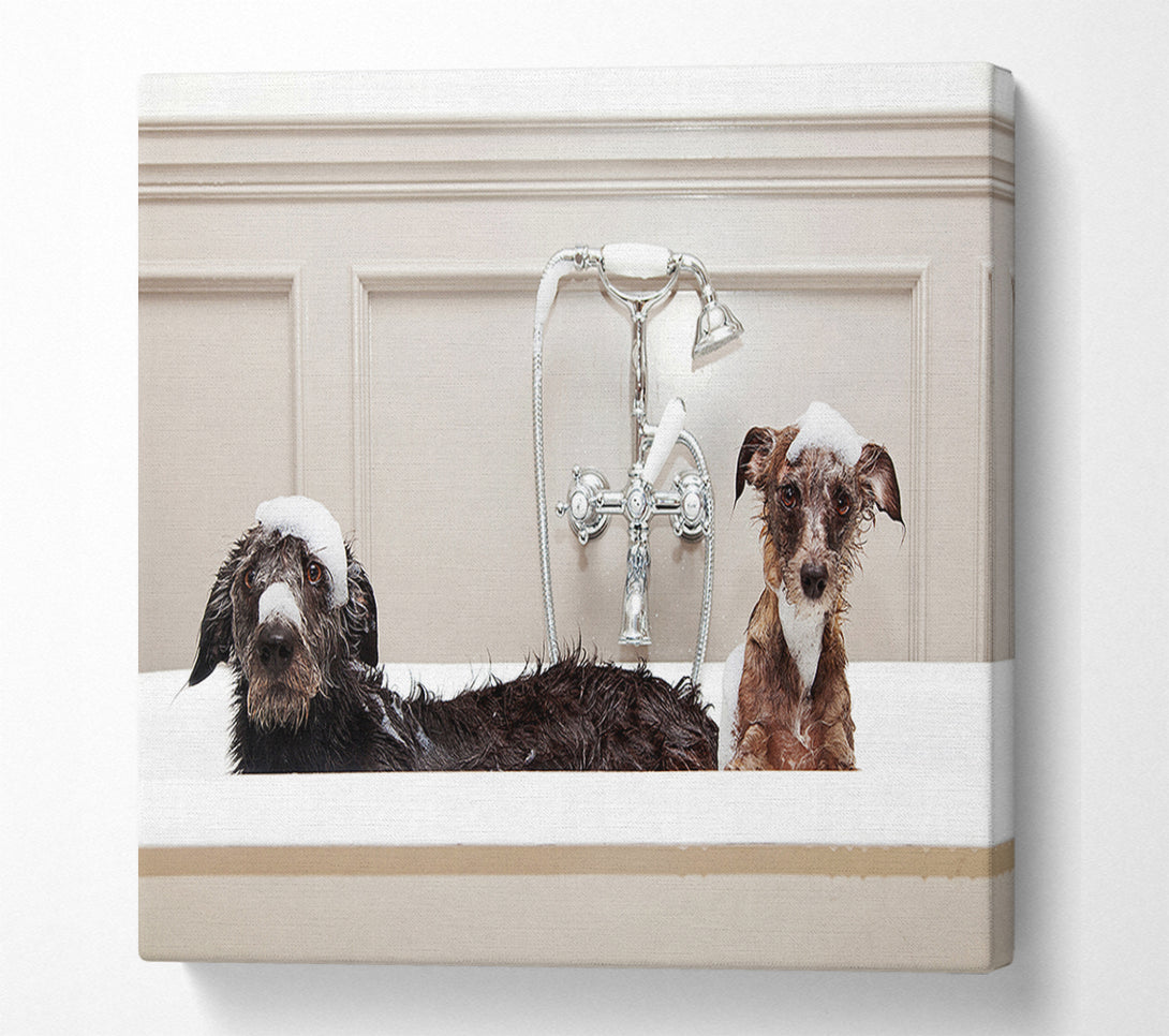  A Canvas Print of Bath Time Dogs Canvas Art