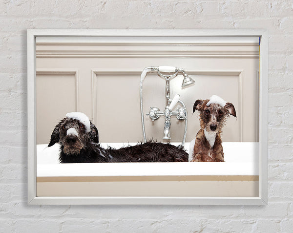 Bath Time Dogs Framed Print