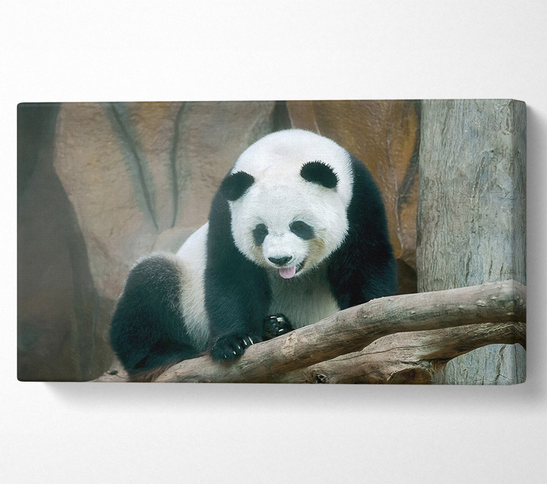  A Canvas Print of Panda tongue Canvas Wall Art