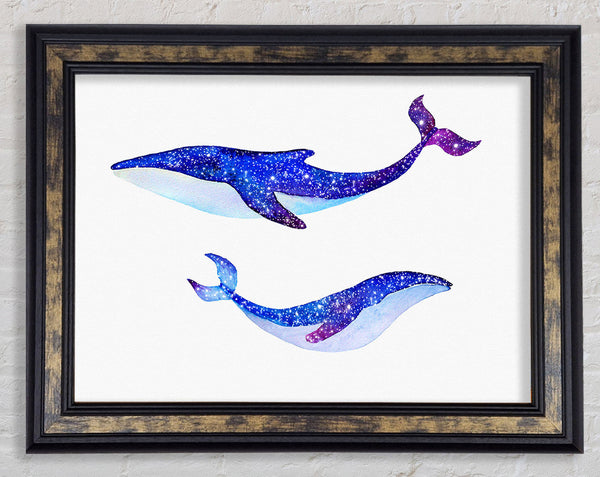 Twinkling Whales Framed Print