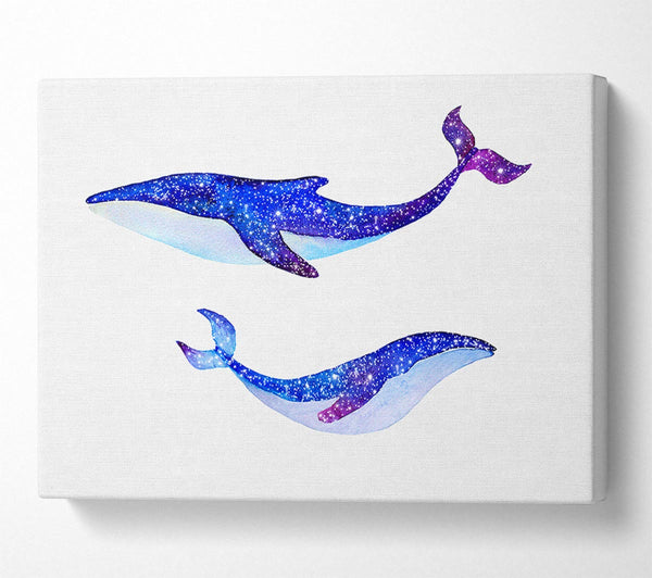  A Canvas Print of Twinkling Whales Canvas Wall Art