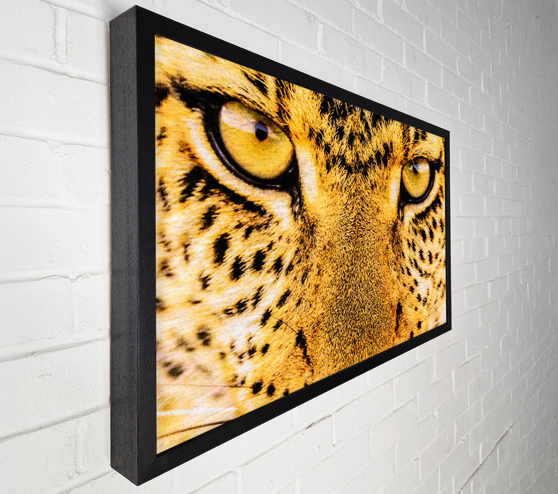  A Canvas Print of Leopard Face Canvas Wall Art