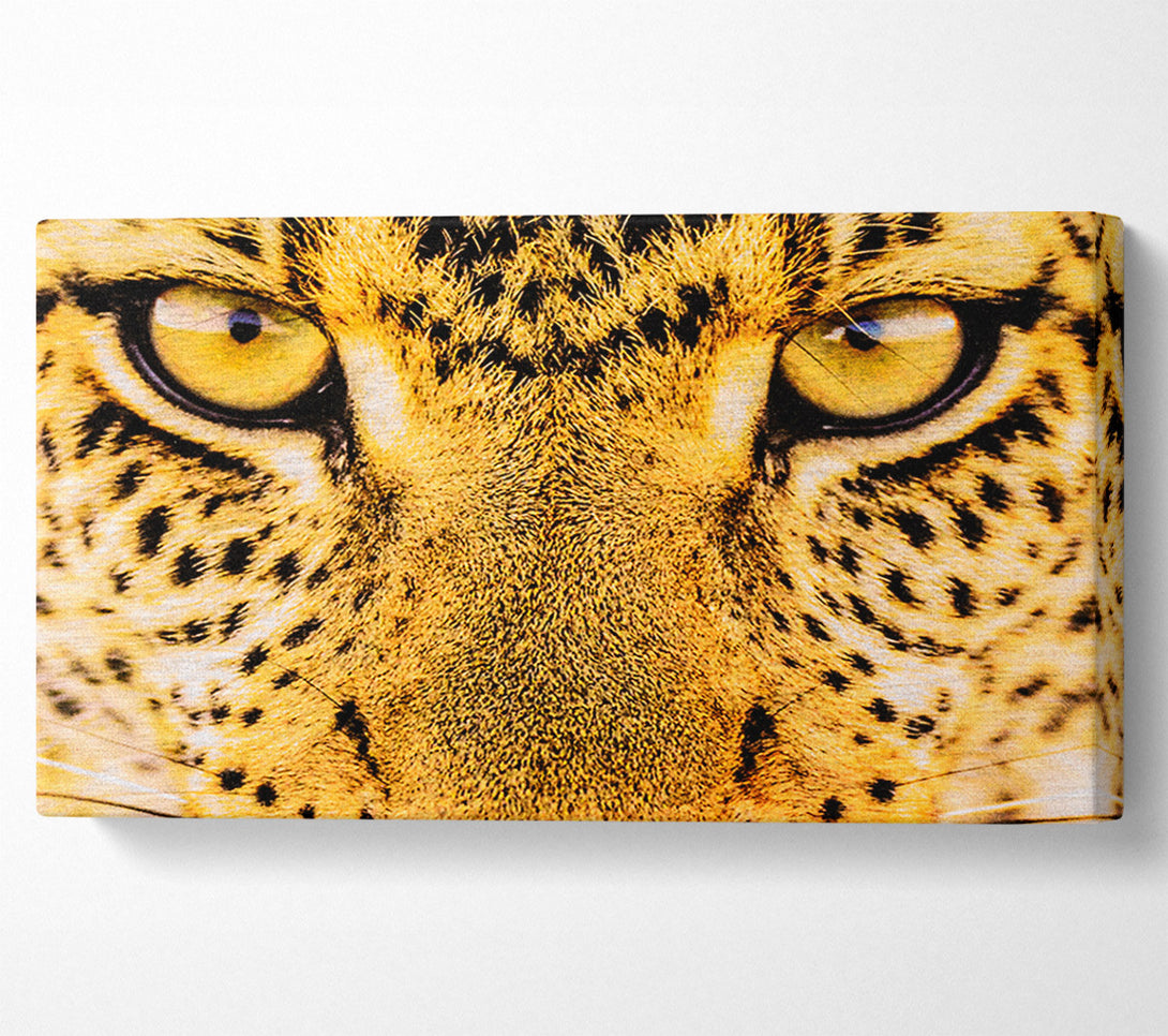  A Canvas Print of Leopard Face Canvas Wall Art