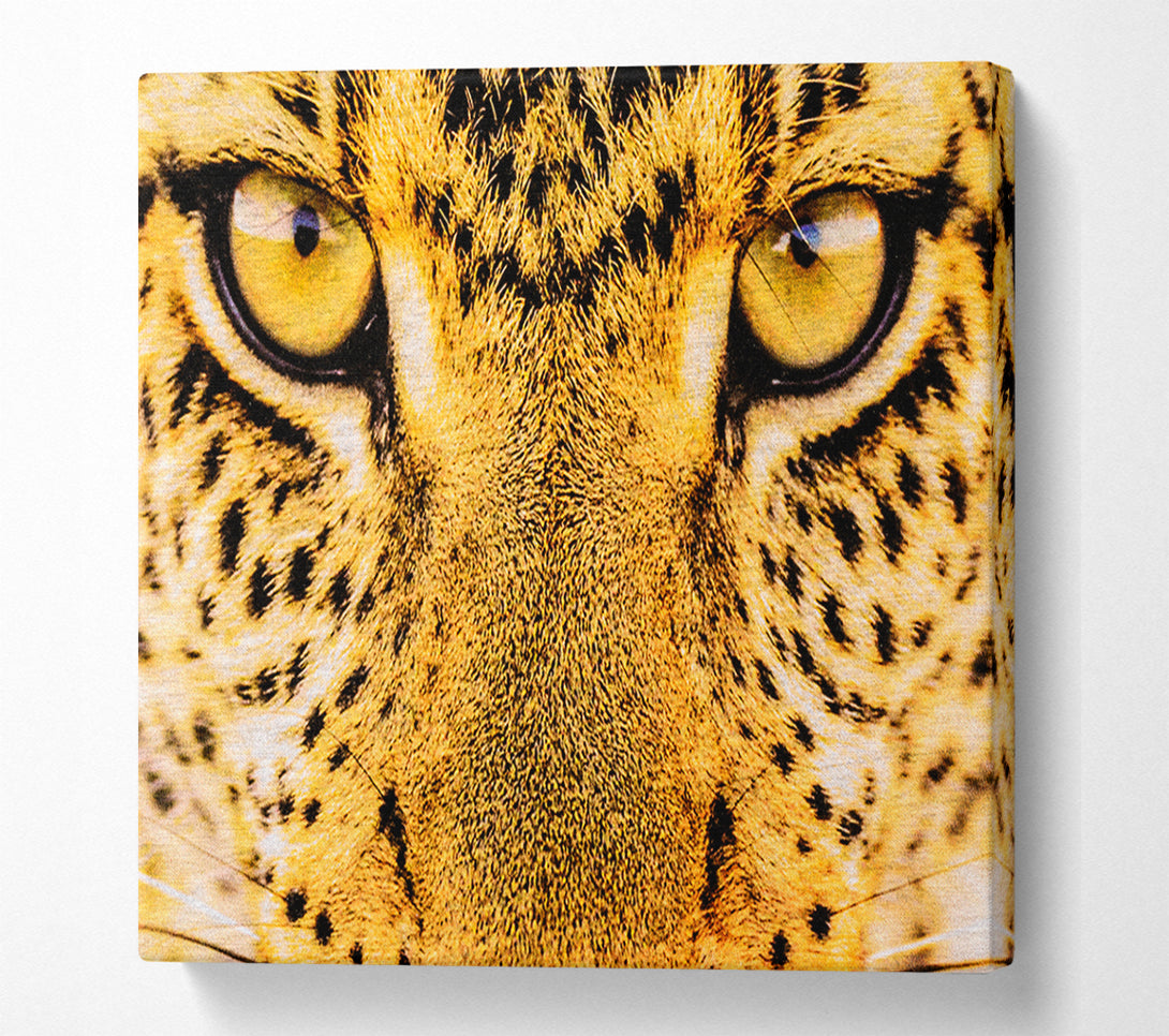  A Canvas Print of Leopard Face Canvas Wall Art
