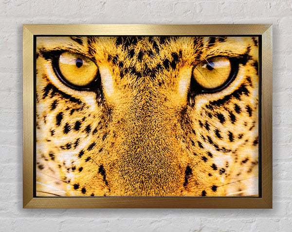 Leopard Face Framed Print