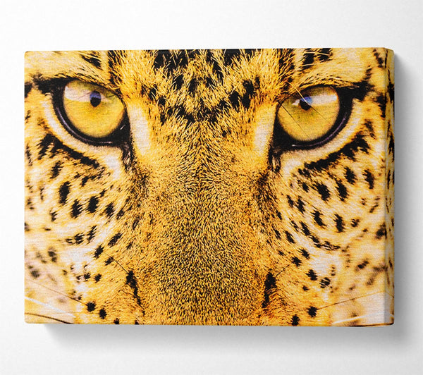  A Canvas Print of Leopard Face Canvas Wall Art