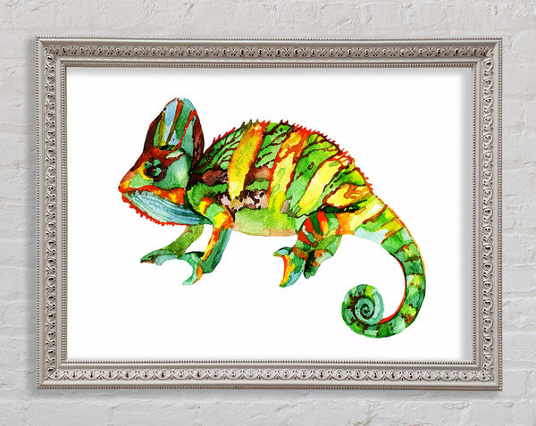 Chameleon Colours Framed Print