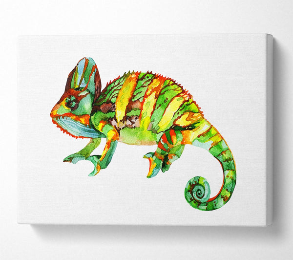  A Canvas Print of Chameleon Colours Canvas Print