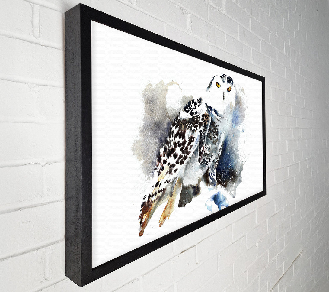  A Canvas Print of Night Owl Canvas Art