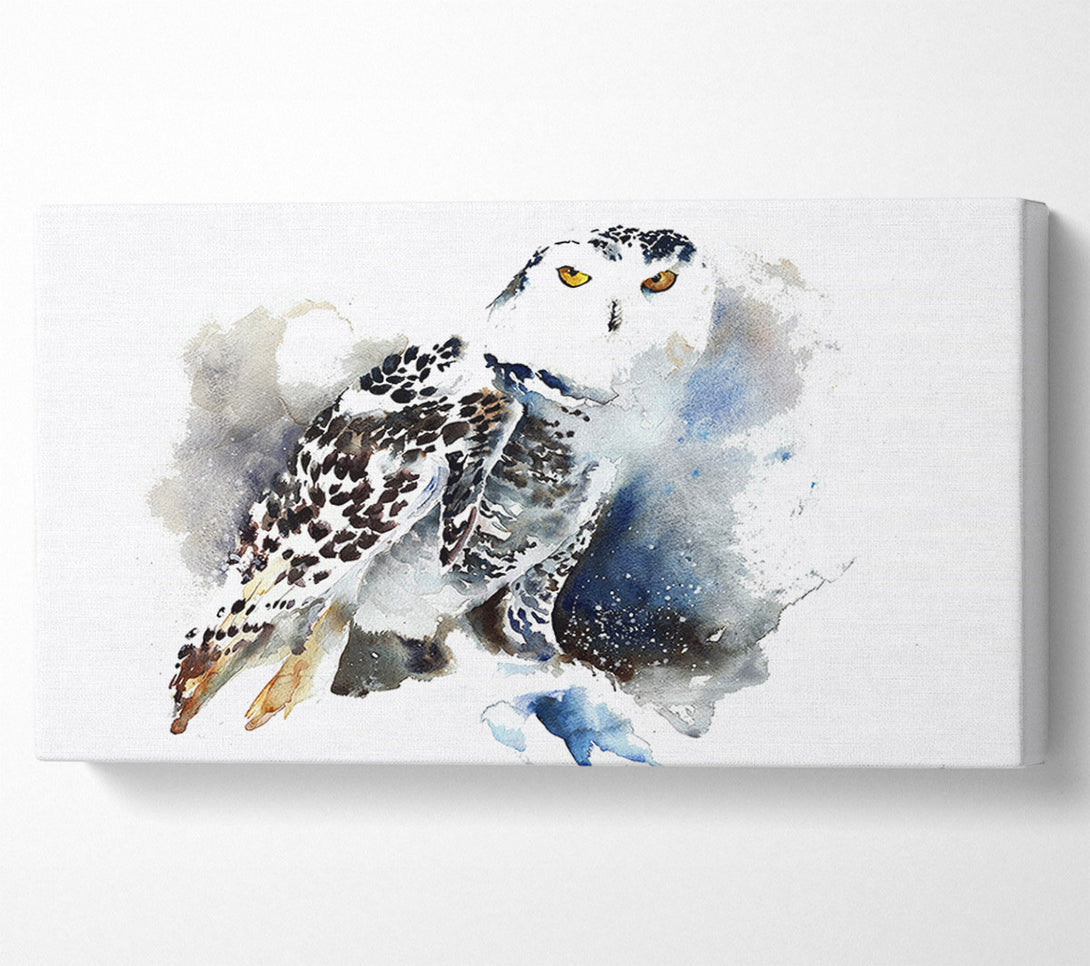  A Canvas Print of Night Owl Canvas Art