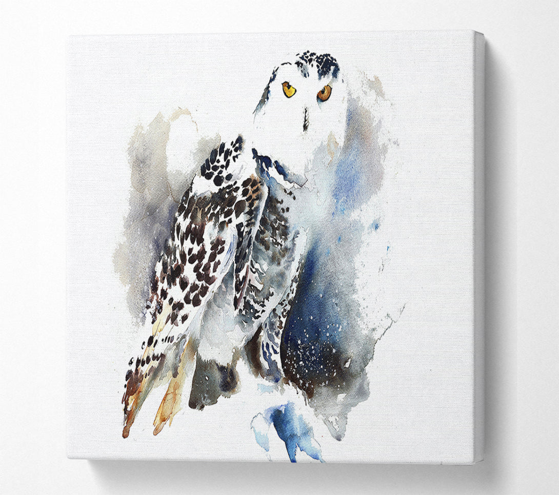  A Canvas Print of Night Owl Canvas Art