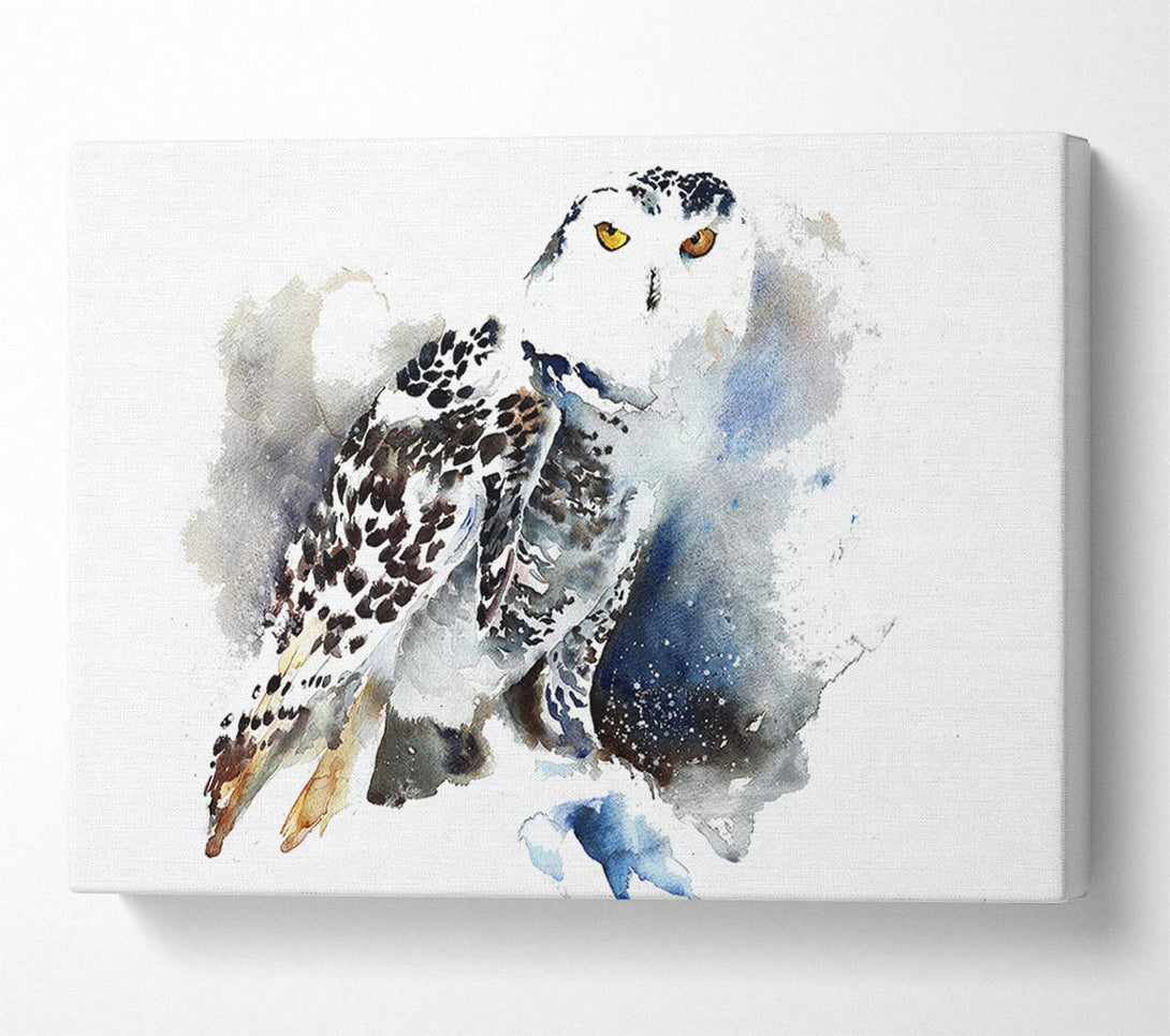  A Canvas Print of Night Owl Canvas Art