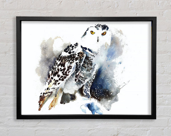 Night Owl Framed Print
