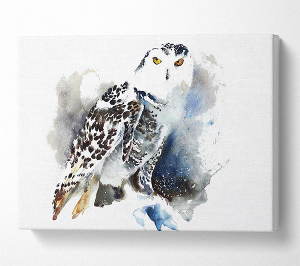  A Canvas Print of Night Owl Canvas Art