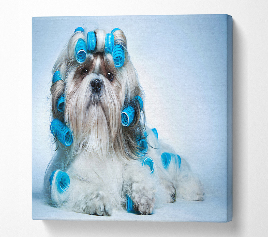  A Canvas Print of Shih Tzu Dog In Curlers Canvas Art