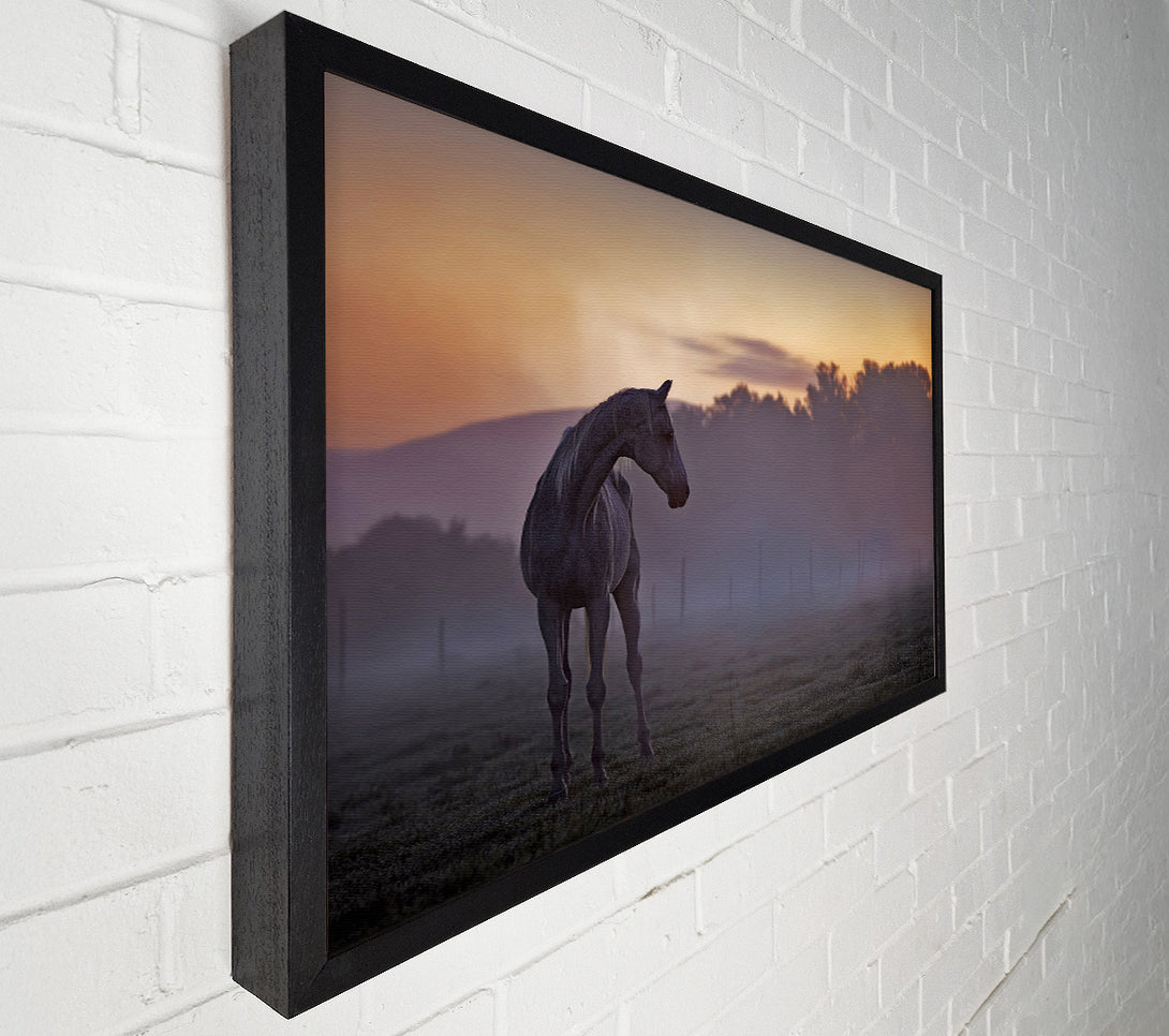 A Canvas Print of Sunrise Horse Canvas Art