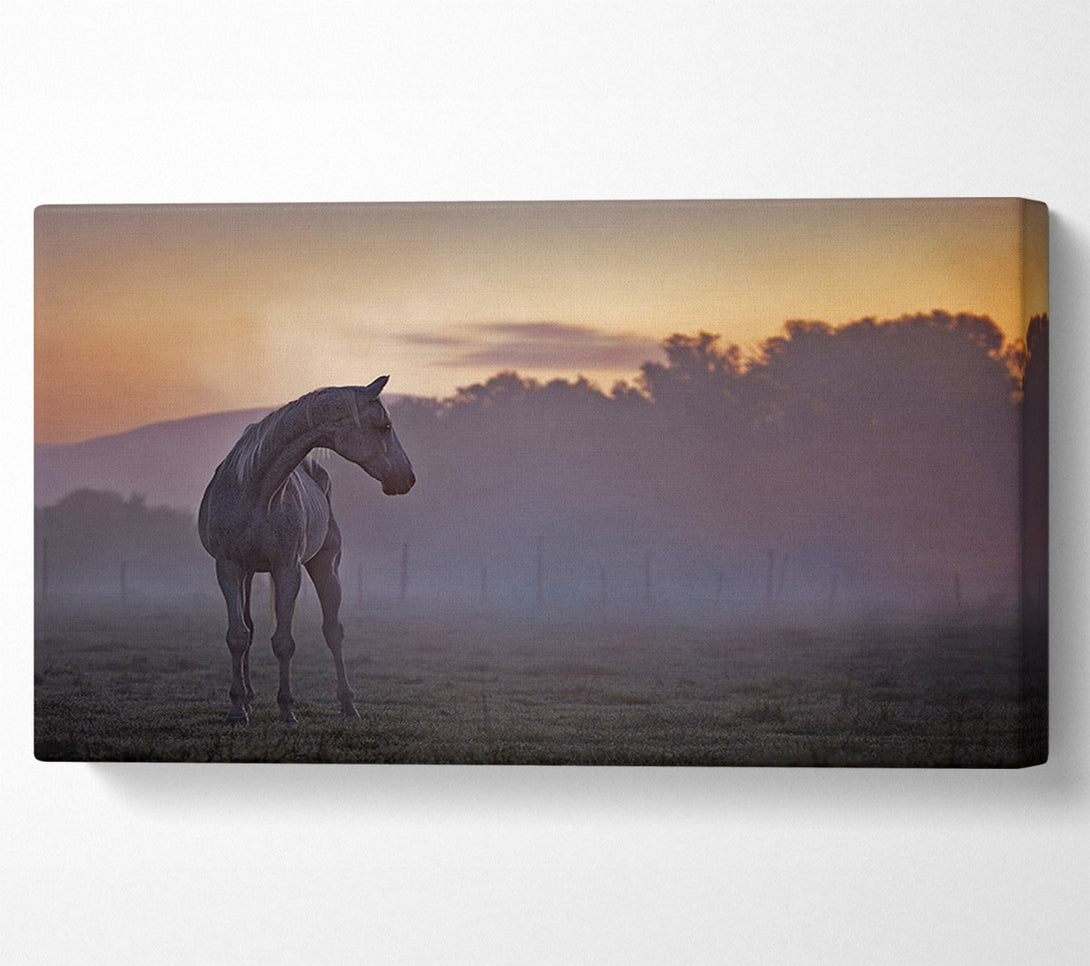  A Canvas Print of Sunrise Horse Canvas Art